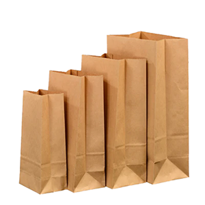 Kraft Paper Bags